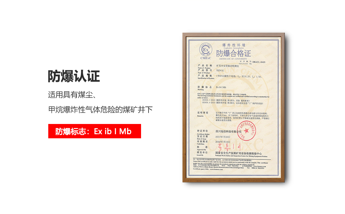 YHZ9(A)礦用本安型振動(dòng)檢測(cè)儀_02.png