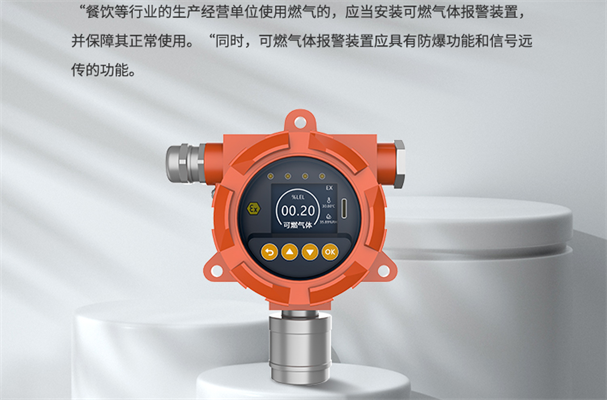有自帶聲光報警器的可燃?xì)怏w報警器嗎